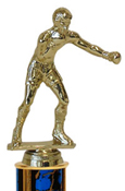 boxing awards