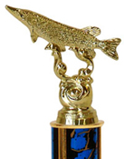 fish pike awards