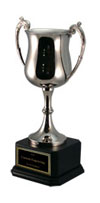 Metal Cup Trophies and Awards