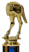 horse rear awards
