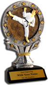 karate awards