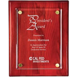 9" x 12" Floating Acrylic Rosewood Plaque