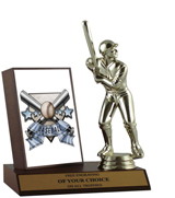 Baseball Plaque Trophy
