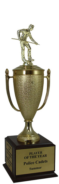 Champion Billiards Cup Trophy