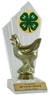 4-H Chicken Award