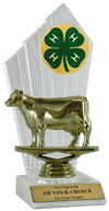 4-H Dairy Cow Award