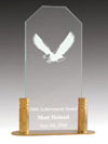 Jade Acrylic Eagle Award with Brass Base