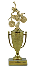 10" Motocross Cup Trophy