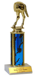 horse rear awards