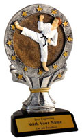 karate trophies