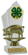 4-H Hog Award