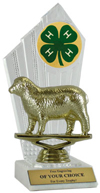 4-H Sheep Award