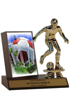 Soccer Eruption Plaque Trophy