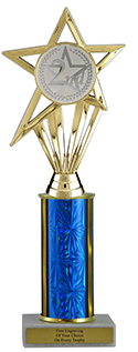 10" 2nd Place Star Economy Trophy