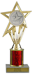 8" 2nd Place Star Economy Trophy