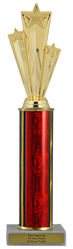 12" Star Performer Economy Trophy