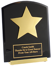 Star Achiever Award