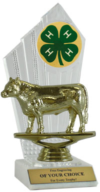 4-H Angus Steer Award