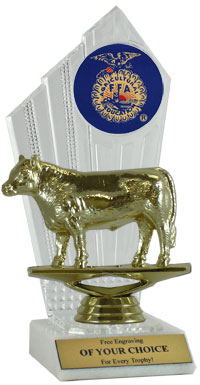 FFA Angus Steer Award