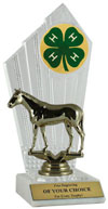 4-H Thoroughbred Award