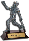softball award