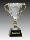 Crystal Cup Gold Handles Award
