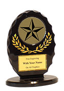 5" Oval Academic Star Award