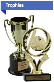 Personalised Trophy Award Cup with Free Engraving and P&P AT20B 