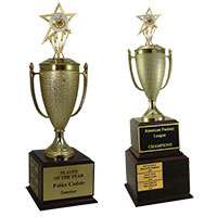 Art Perpetual Trophies