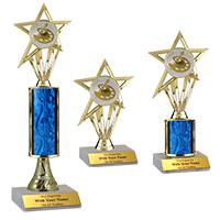 Art Traditional Trophies