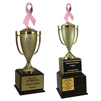 Awareness Perpetual Trophies