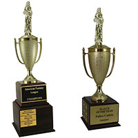 Beauty Queen Traveling Trophies