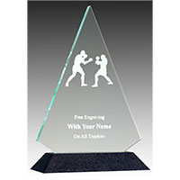 Boxing Acrylic Awards