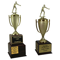 Boxing Perpetual Trophies