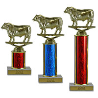 Bull Economy Trophies