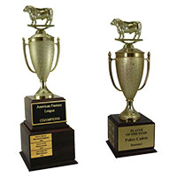 Bull Perpetual Trophies