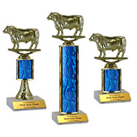 Bull Traditional Trophies