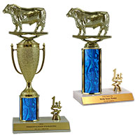 Bull Trim Trophies