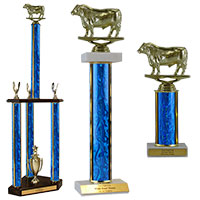 View All Bull Trophies and Awards