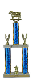 17" Bull Trophy