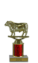 6" Bull Economy Trophy
