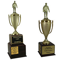 Business perpetual Trophies