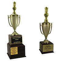 Chess Perpetual Trophies