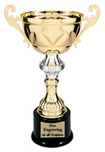 13" Two Tone Metal Trophy Cup