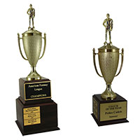 Coach Perpetual Trophies
