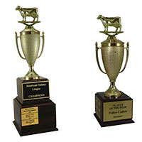 Cow Perpetual Trophies
