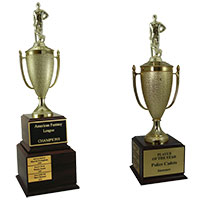 Cricket Perpetual Trophies
