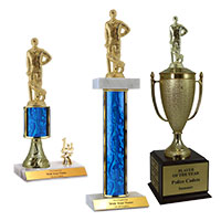 View All Cricket Trophies and Awards