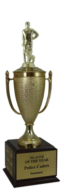 Champion Cricket Cup Trophy