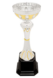 9 3/4" Gold / Silver Metal Trophy Cup